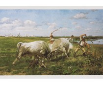 Képeslap Vastagh Géza: Verekedő bikák